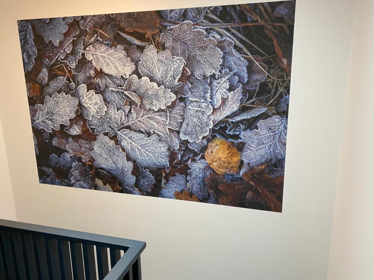 Residence La Poivriere デュルビュイ エクステリア 写真